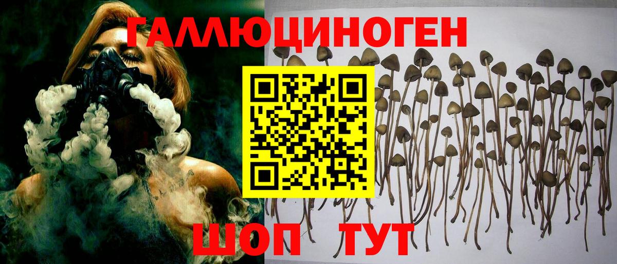 Каменск-Шахтинский  как найти наркотики  Вход с VPN  Галлюциногенные грибы MAGIC MUSHROOMS 